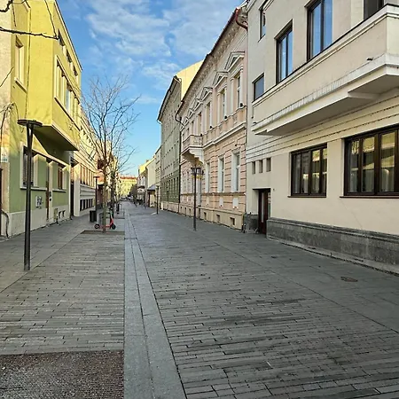 Ultra-central Cozy Flat, Quiet Pedestrian Lane Apartmán Kluž