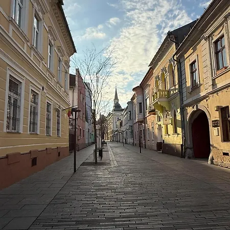 Ultra-central Cozy Flat, Quiet Pedestrian Lane Appartement