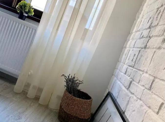 Ultra-central Cozy Flat, Quiet Pedestrian Lane * Kolozsvár